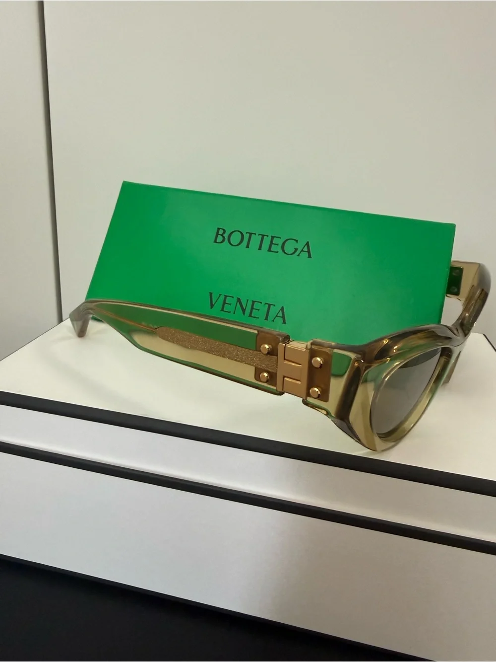 Bottega Veneta bold cat